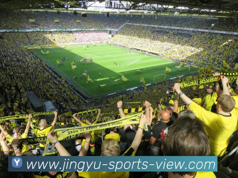 鲸鱼体育平台生态图